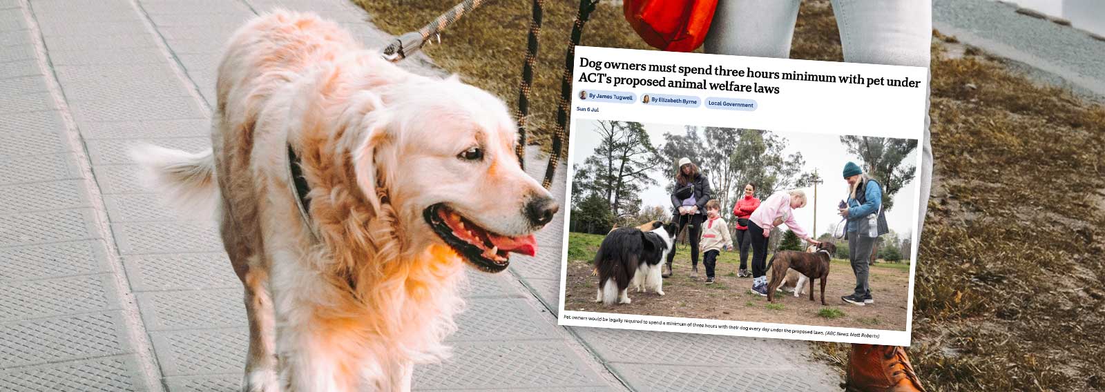 ACT Pushes Law Mandating Dog Owners Spend Three Hours a Day With Pets
